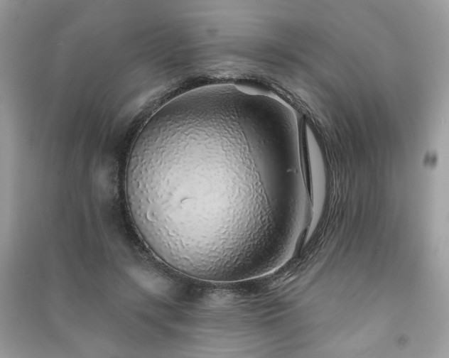 X0000091370547200708101534