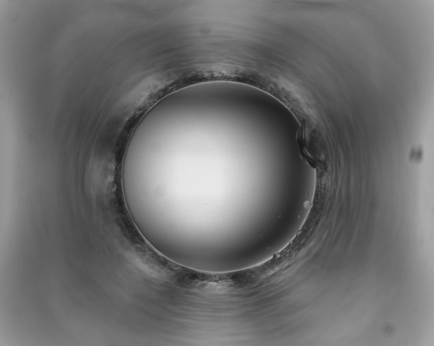 X0000091370548200708101534