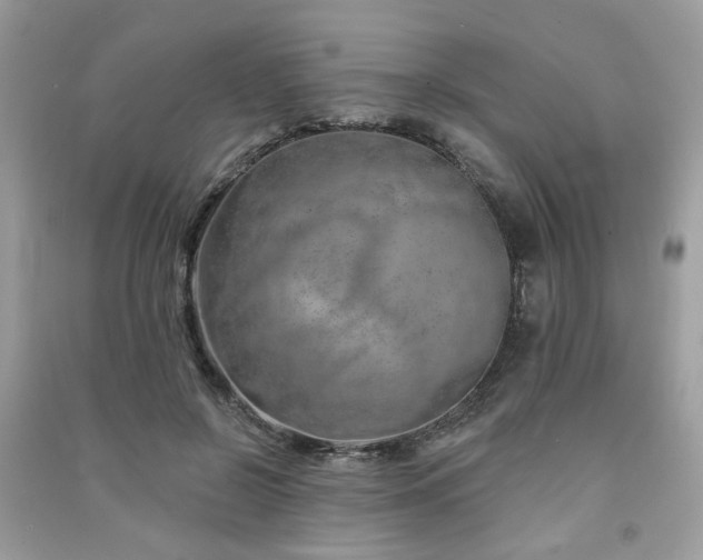 X0000091370550200708101534