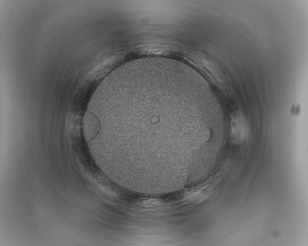 X0000091370551200708101534