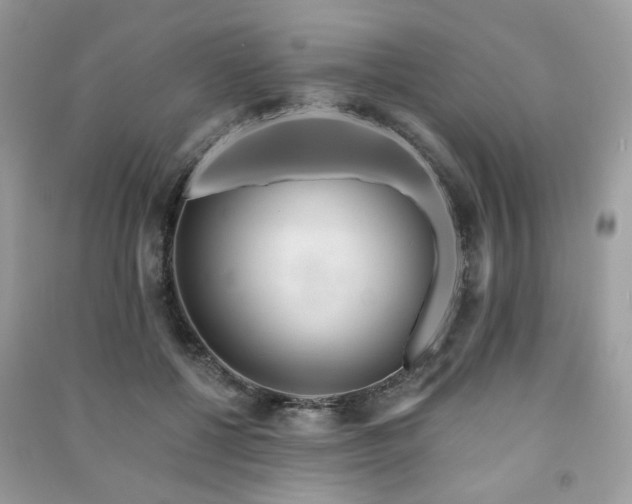 X0000091370552200708101534