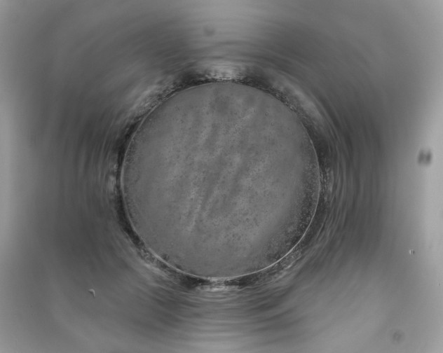 X0000091370553200708101534