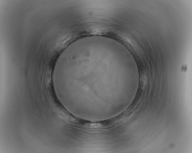 X0000091370554200708101534