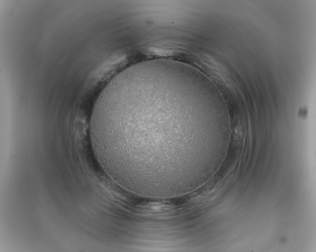 X0000091370555200708101534