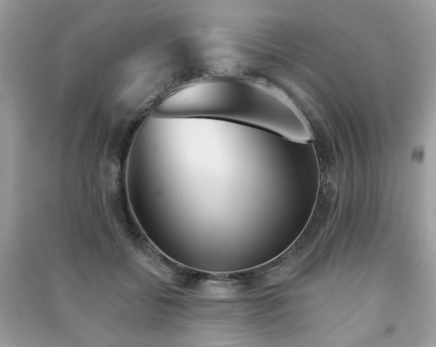 X0000091370556200708101534