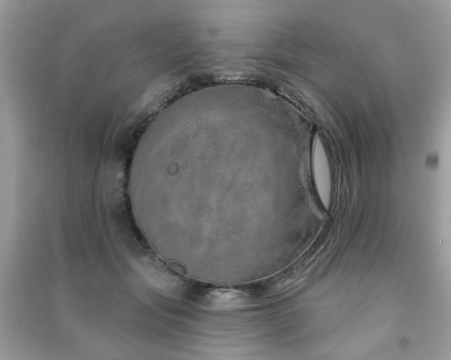 X0000091370557200708101534