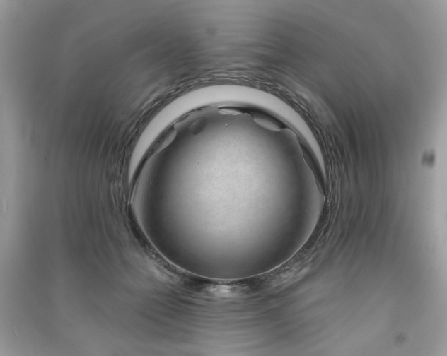 X0000091370558200708101534