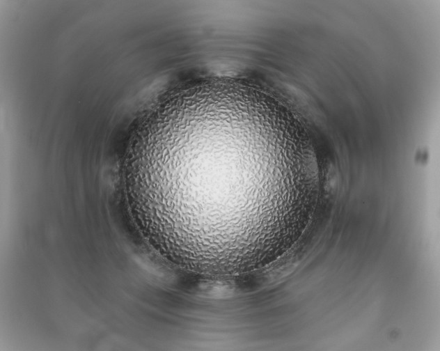 X0000091370559200708101534