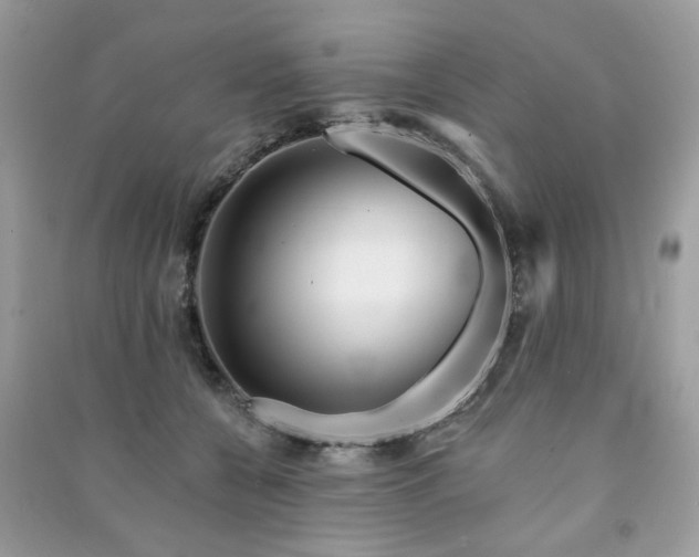 X0000091370560200708101534