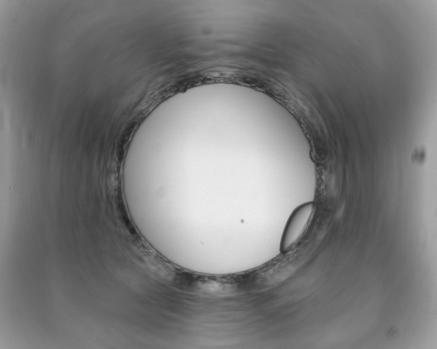 X0000091370561200708101534