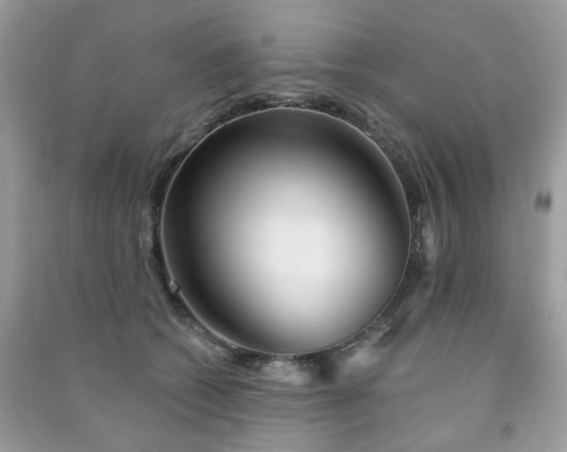 X0000091370562200708101534