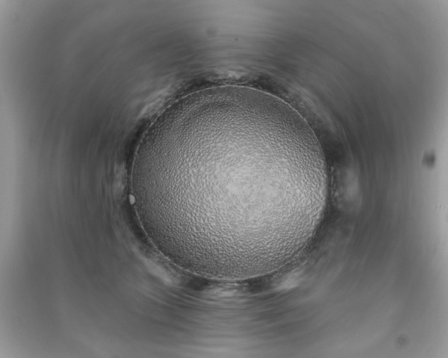 X0000091370563200708101534