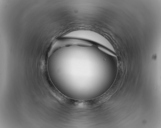 X0000091370564200708101534