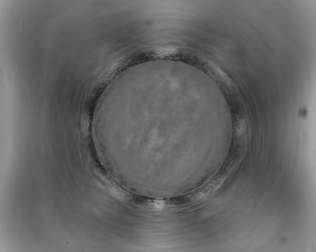 X0000091370565200708101534