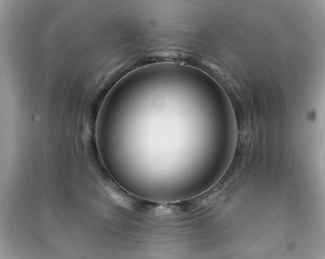 X0000091370566200708101535