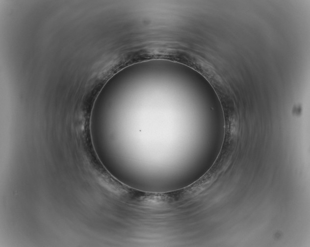 X0000091370567200708101535