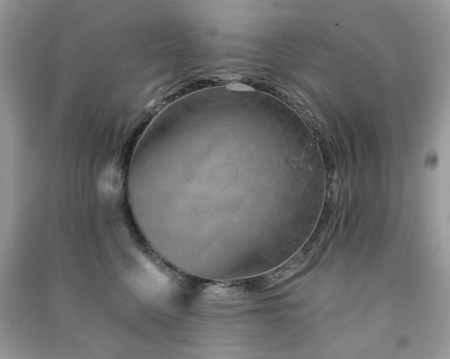 X0000091370568200708101535