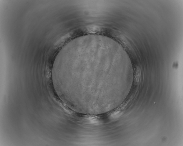 X0000091370569200708101535