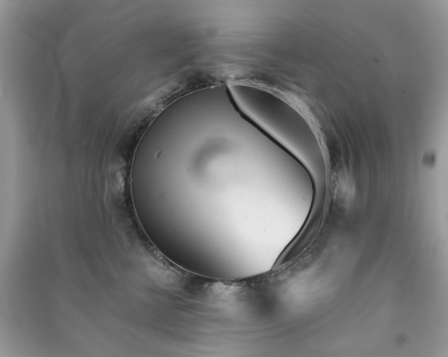 X0000091370570200708101535