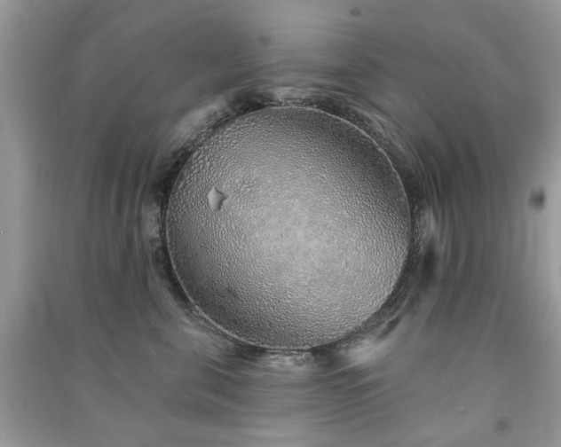 X0000091370571200708101535