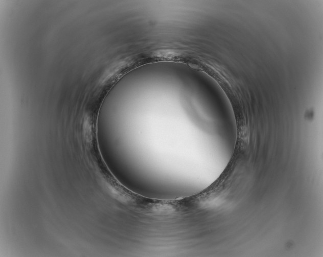 X0000091370572200708101535