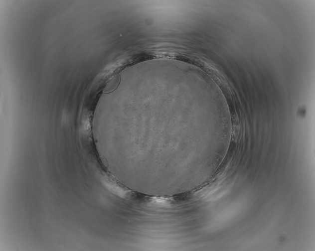 X0000091370573200708101535