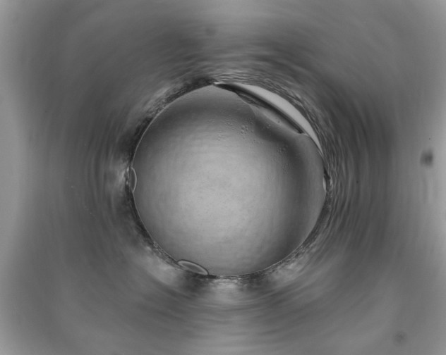 X0000091370574200708101535