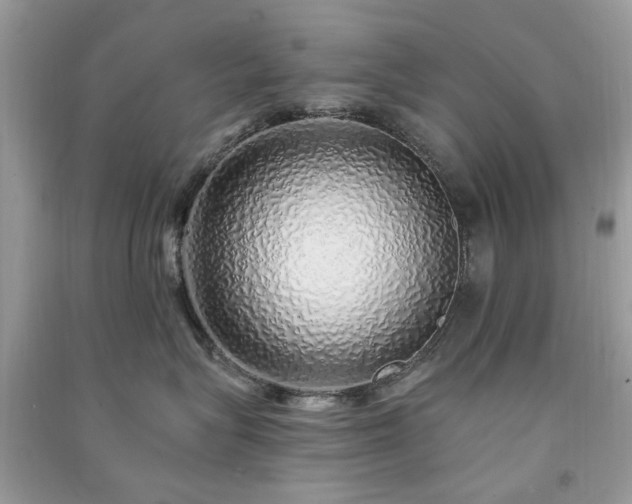 X0000091370575200708101535