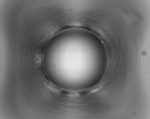 X0000091370576200708101535