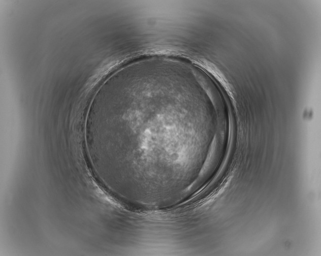 X0000091370577200708101534