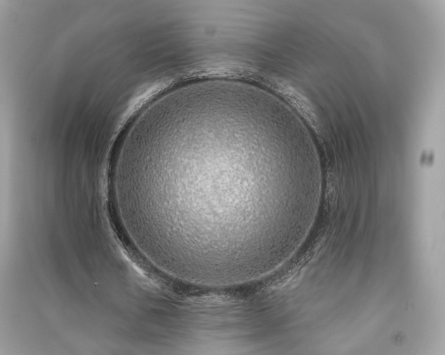 X0000091370578200708101534