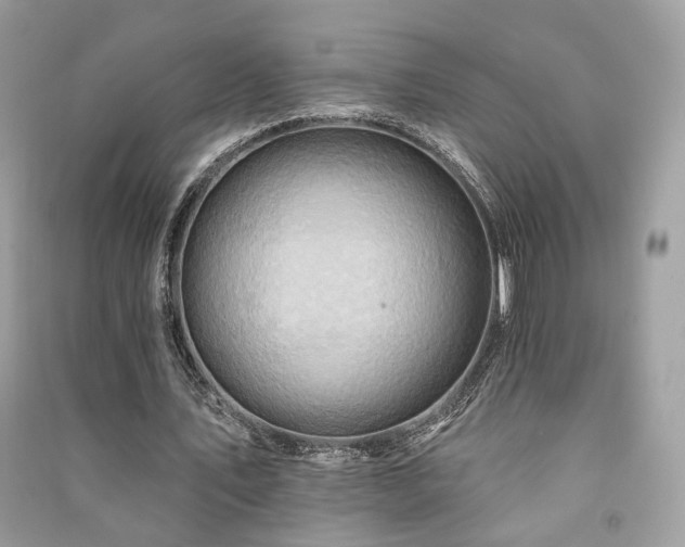 X0000091370579200708101534