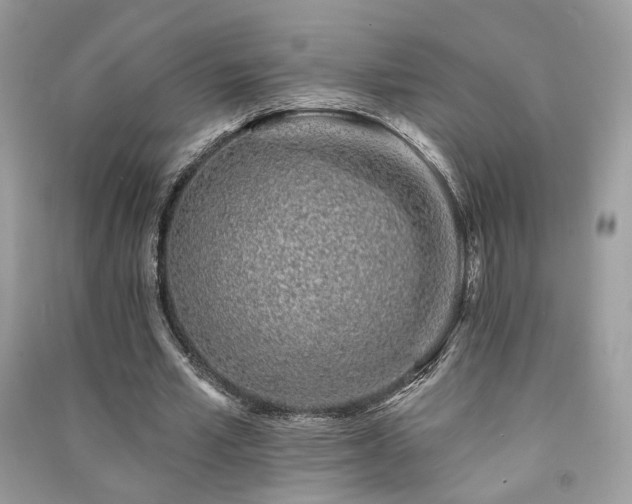 X0000091370581200708101534