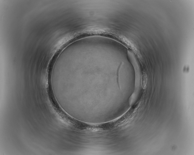 X0000091370582200708101534