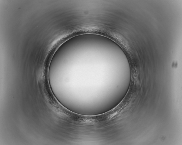 X0000091370583200708101534