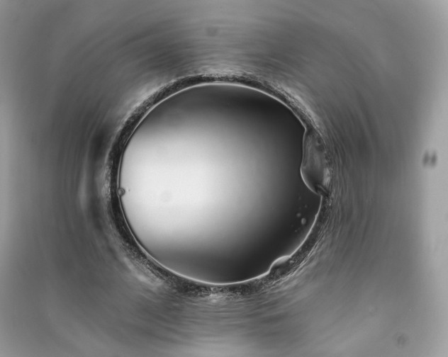 X0000091370584200708101534