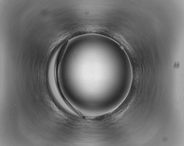 X0000091370585200708101534