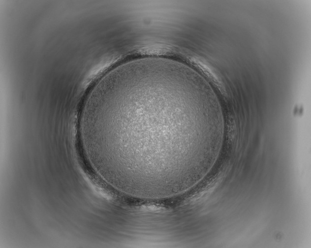 X0000091370586200708101534