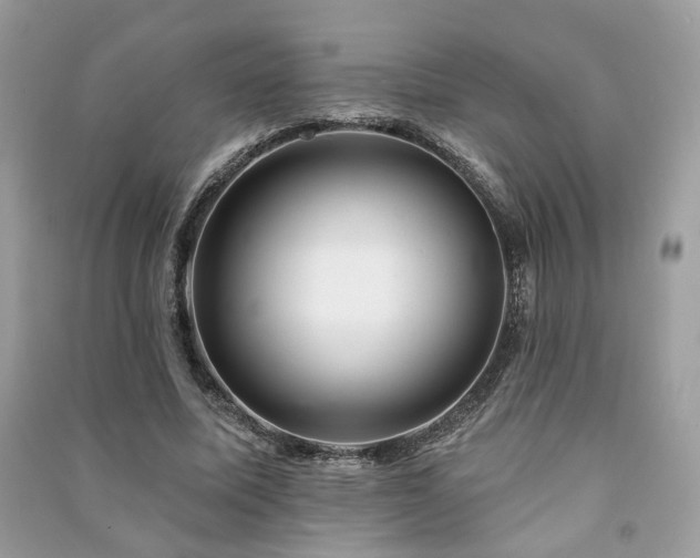 X0000091370587200708101534