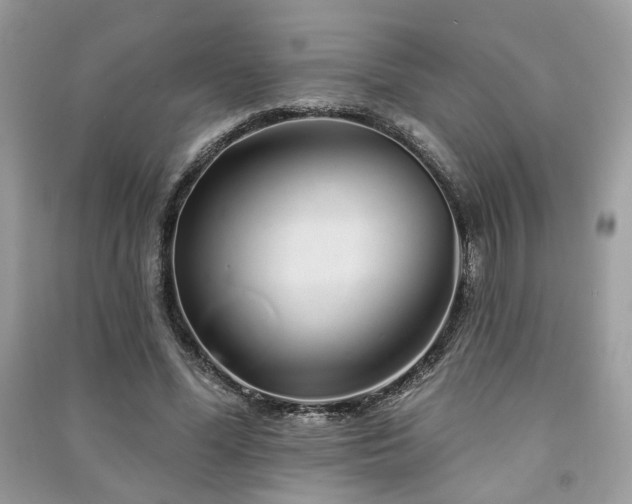 X0000091370588200708101534