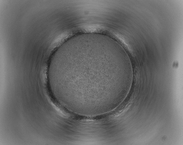 X0000091370590200708101534