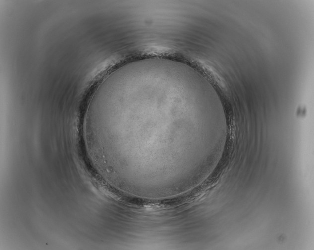 X0000091370591200708101534