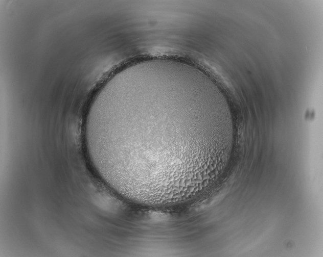 X0000091370592200708101534