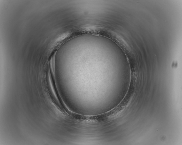 X0000091370593200708101534