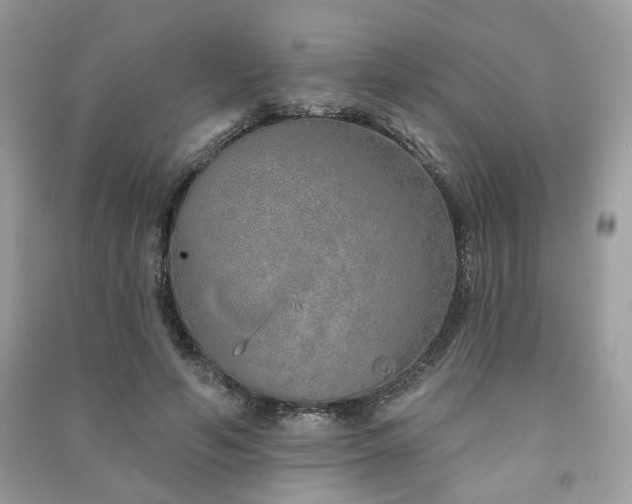 X0000091370594200708101534