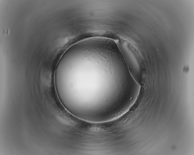 X0000091370596200708101534