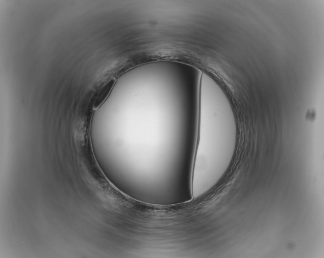 X0000091370597200708101534