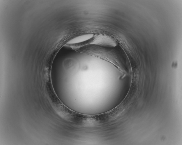 X0000091370598200708101534