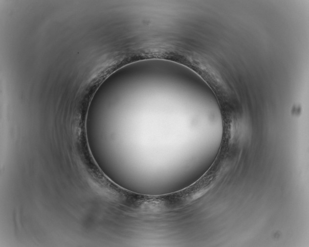 X0000091370599200708101534