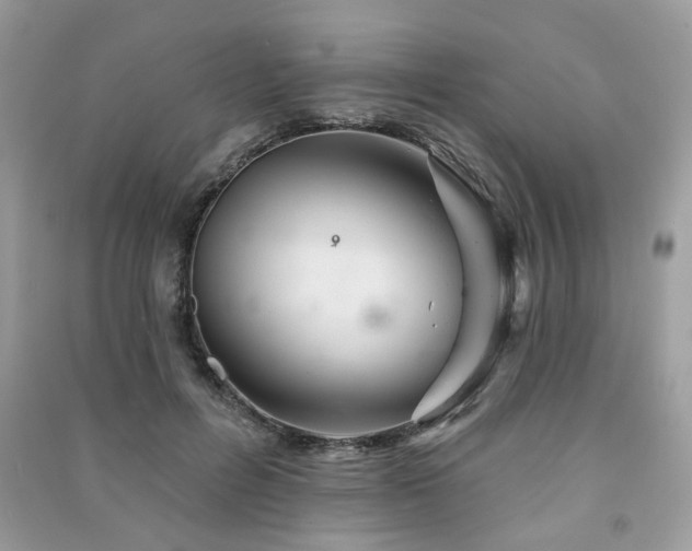 X0000091370600200708101534